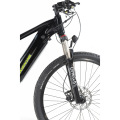 OEM MTB E-Bike / Electric Bike/Electric Bicycle